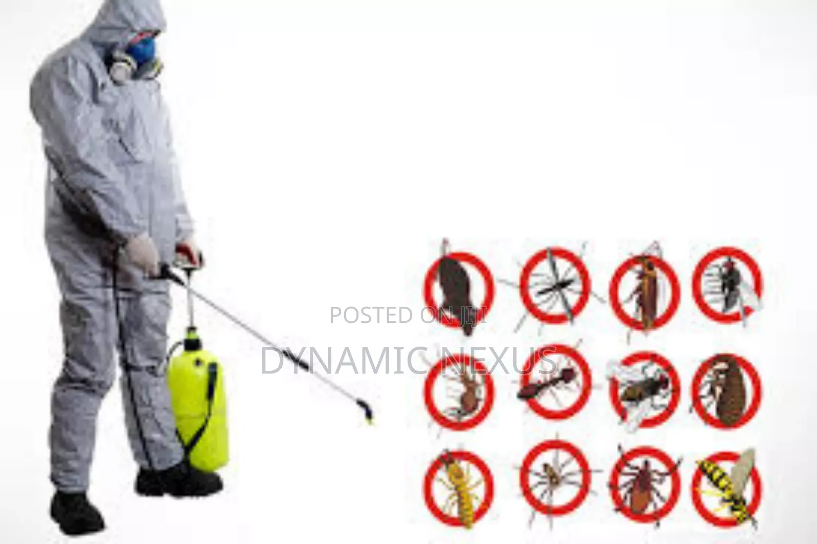 Fumigation and Pest Control Services
