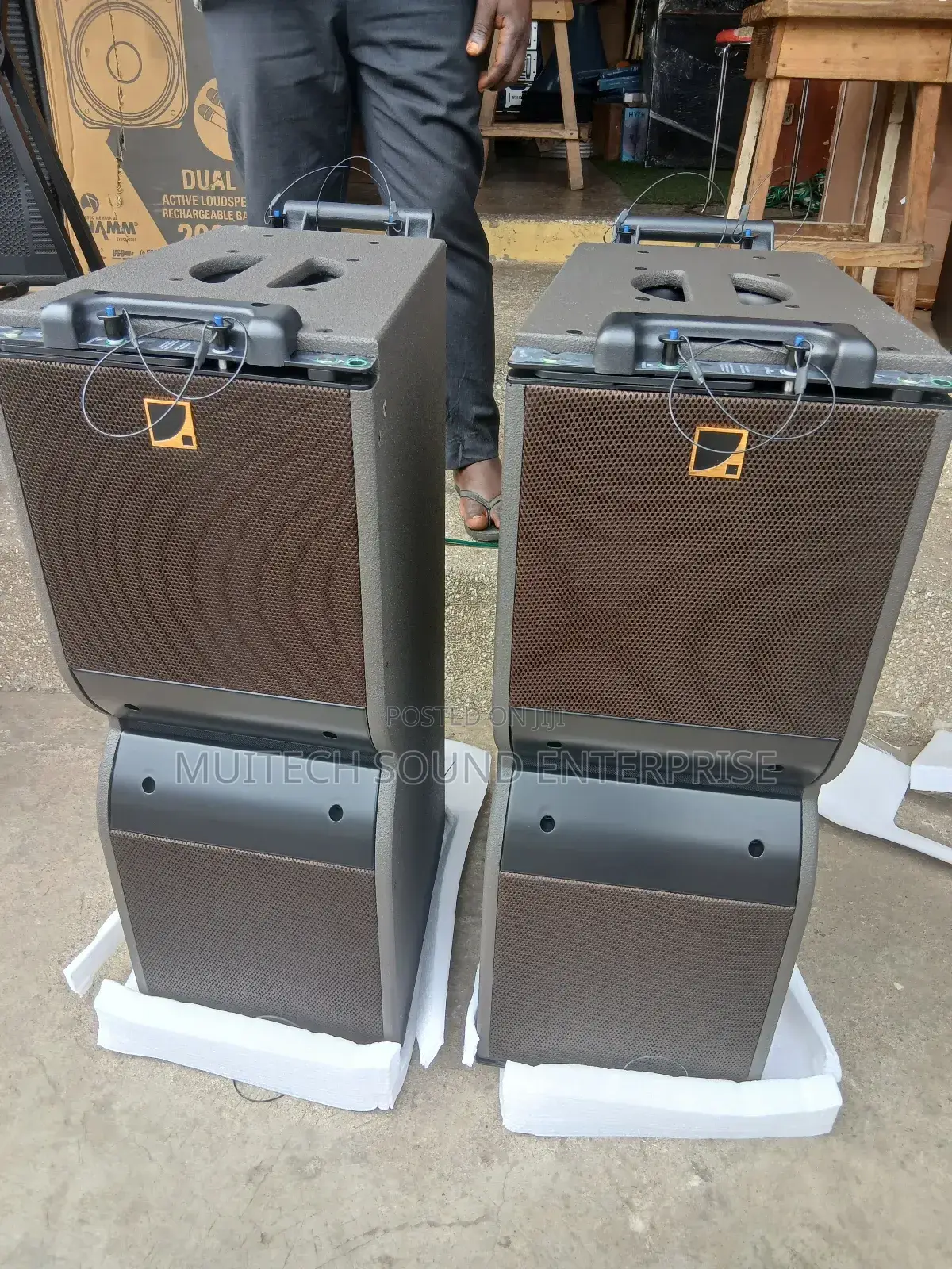 Kara Line Array Speaker ( 10 Inches)