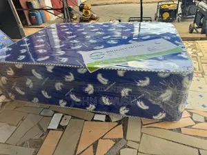 16inchs Super High Density Double Mattress for Sale