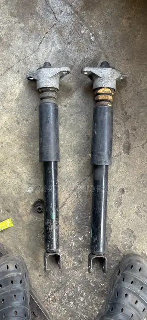 Hyundai Elantra 2007-2010 Back Shock Absorbers