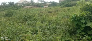 A Plot Fr Sale at Apowah