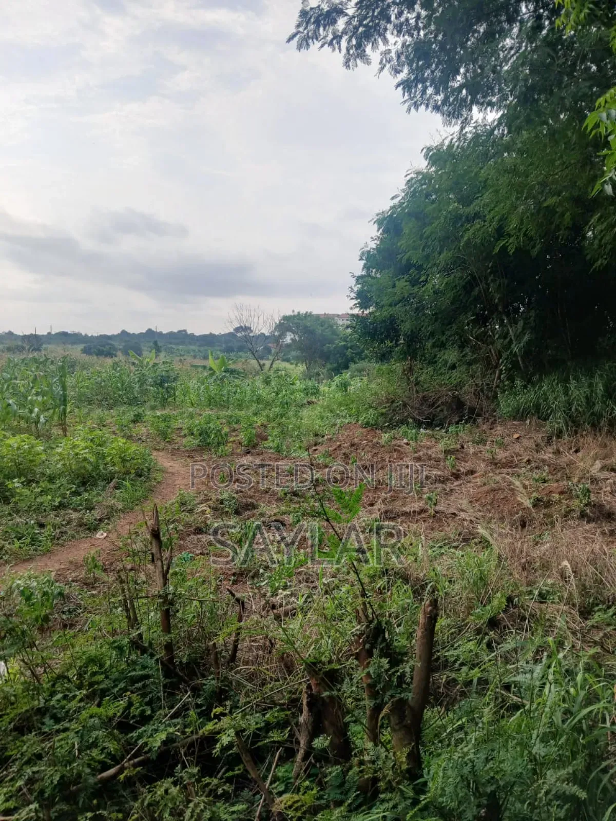 2 Plots for Sale Comm3 Behind Bni TDC Verified Documents