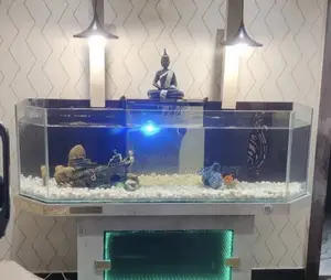 Point and Kill Aqurium. Glass Tank
