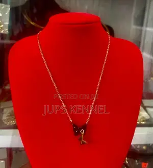 Necklace(Jewelry)