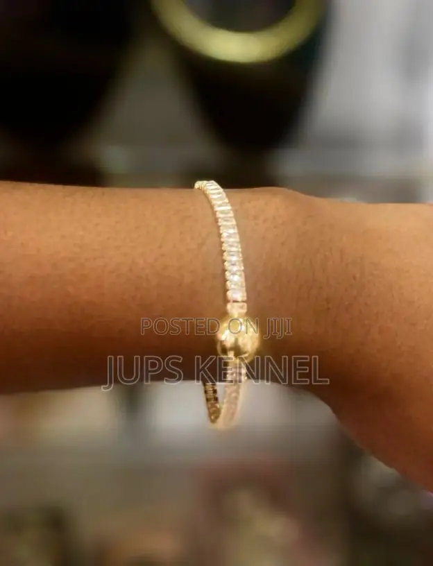 Bracelet (Jewelry)