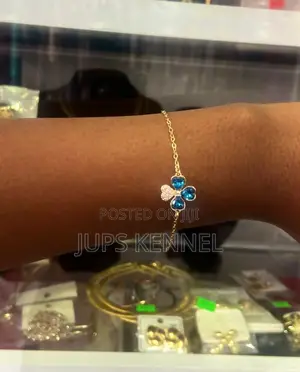 Bracelet (Jewelry)