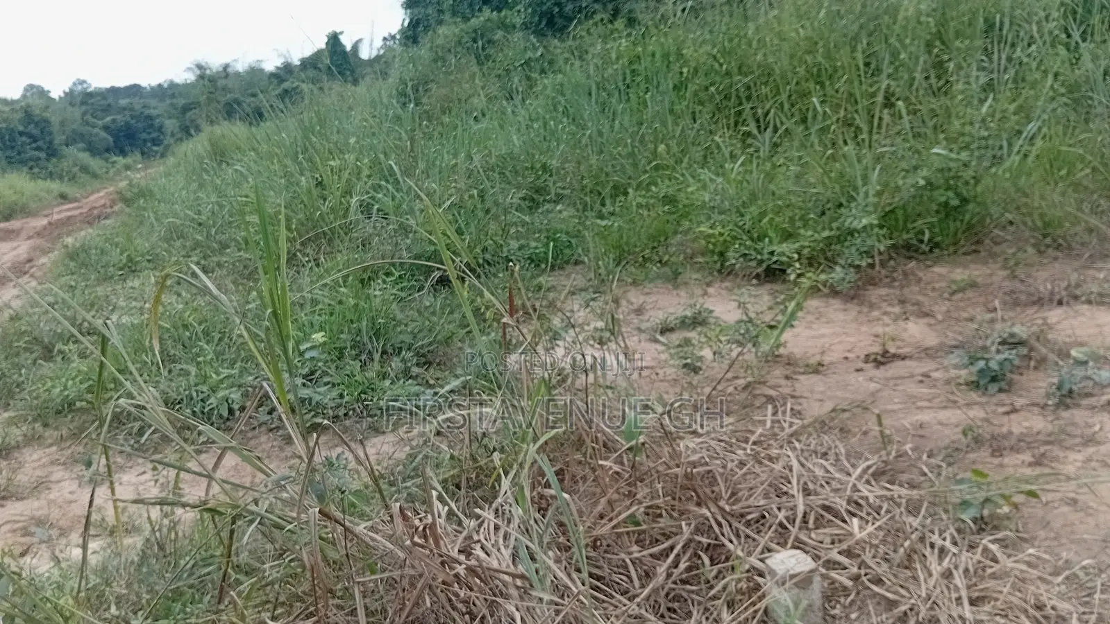 Plots of Land for Residence/Farmland