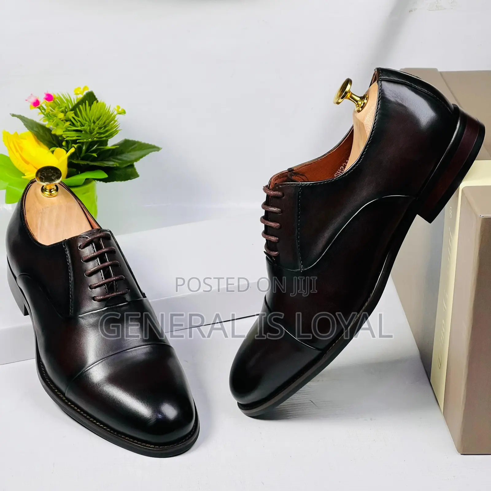 Dino Verratti Dark Coffee Men Leather Classic Shoe