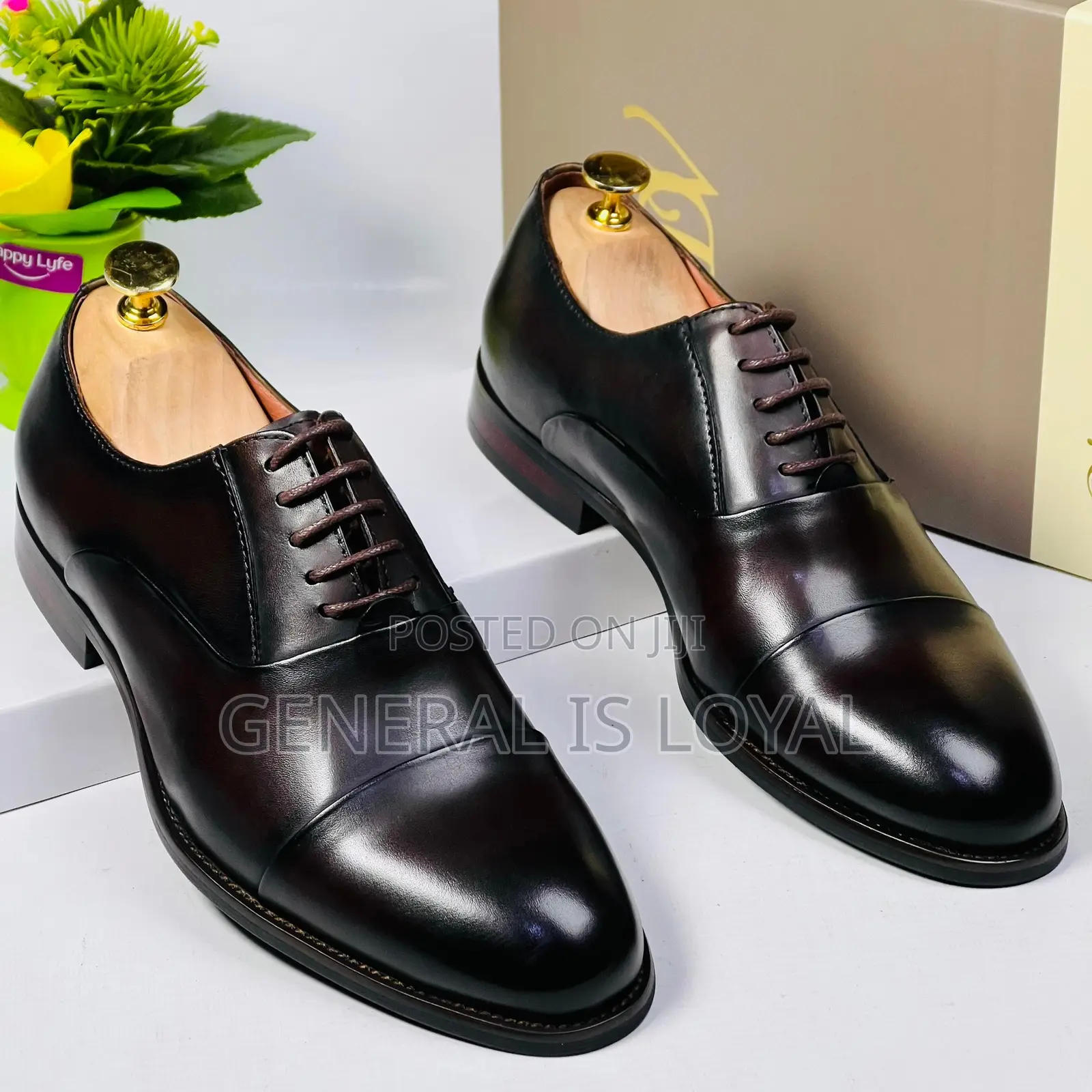 Dino Verratti Dark Coffee Men Leather Classic Shoe