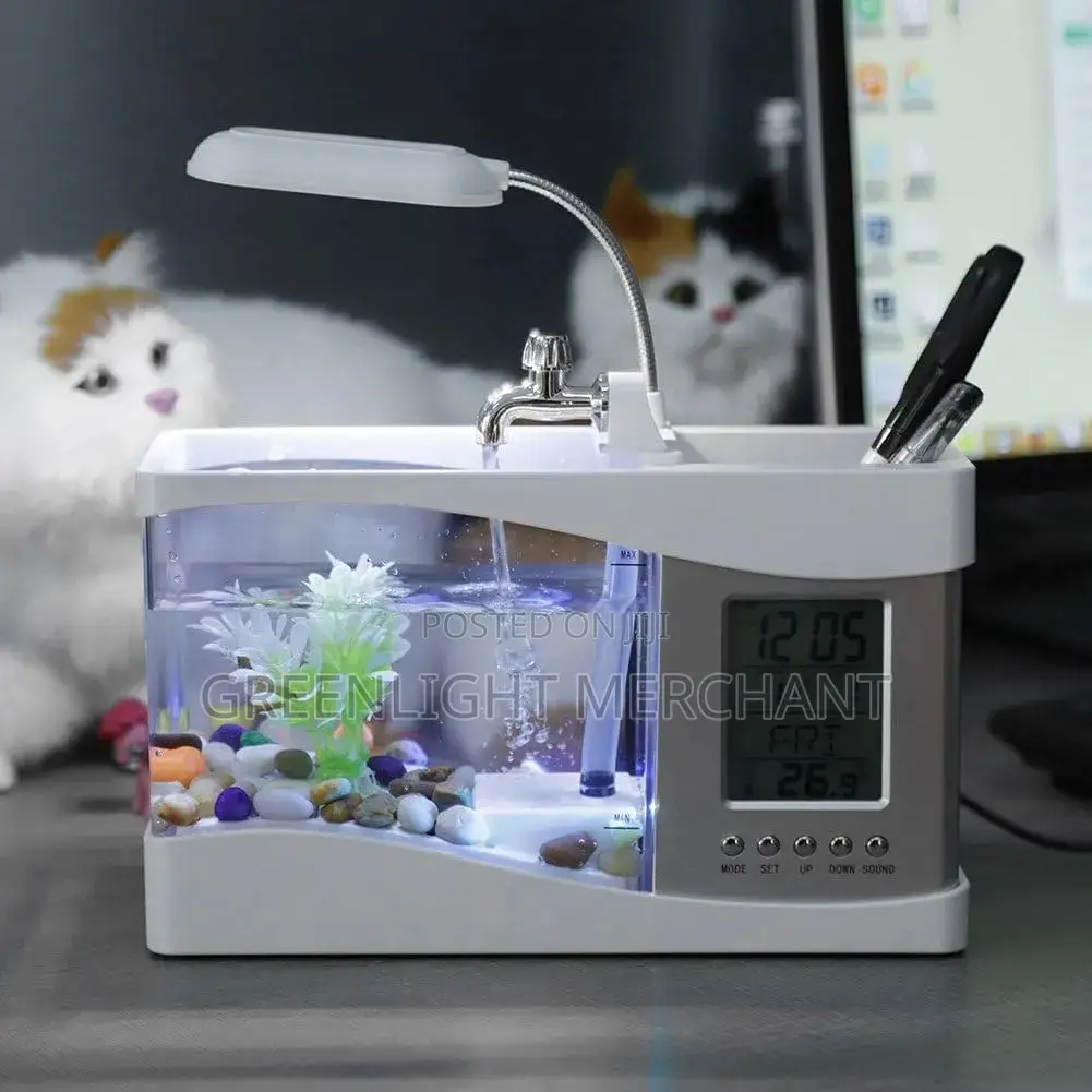 Desk Top Aquarium