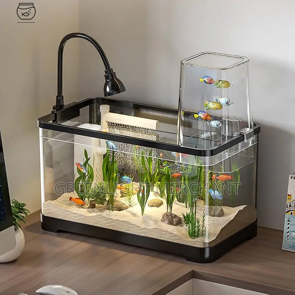 Desk Top Aquarium