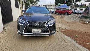 Car Rentals