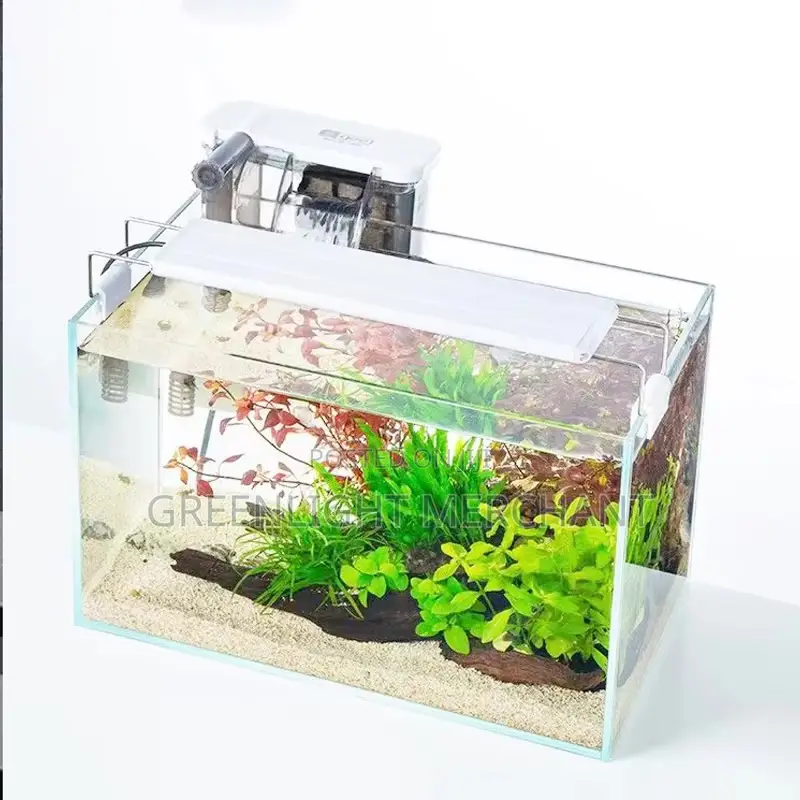 Desk Top Aquarium