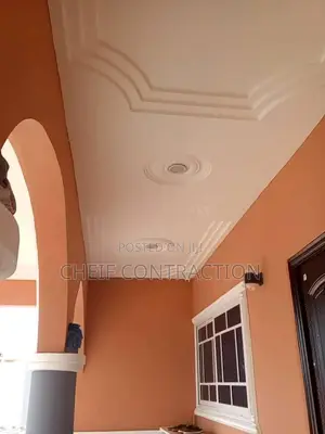 Professional Painter