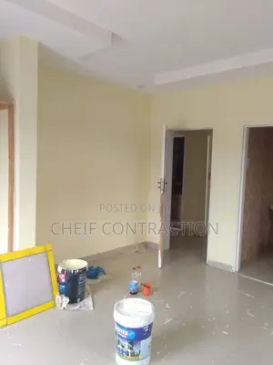 Professional Painter
