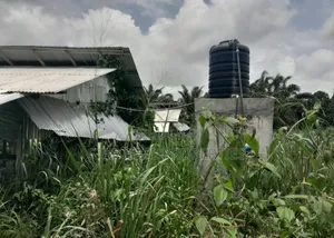 Poultry Farm for Sale