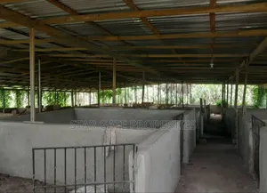 Poultry Farm for Sale