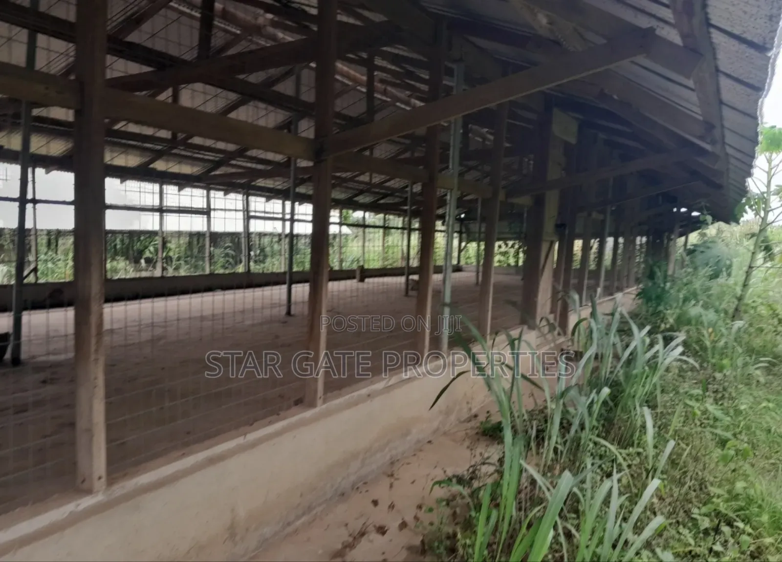 Poultry Farm for Sale