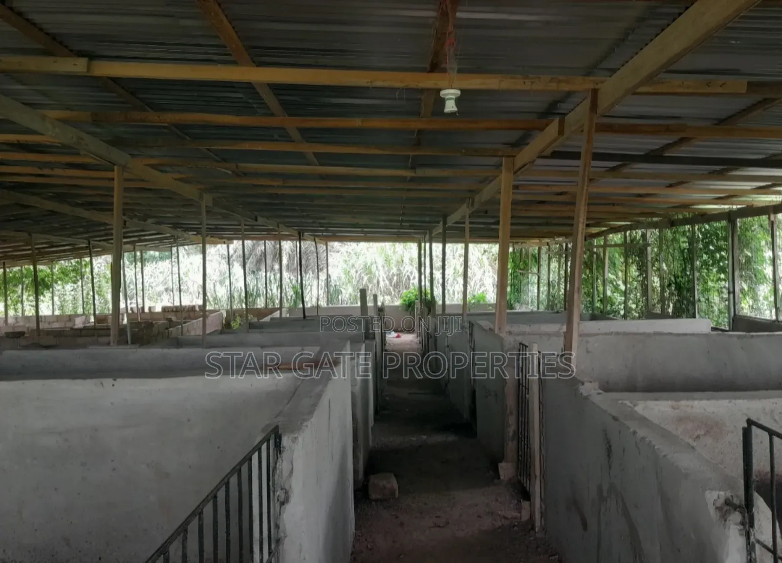 Poultry Farm for Sale