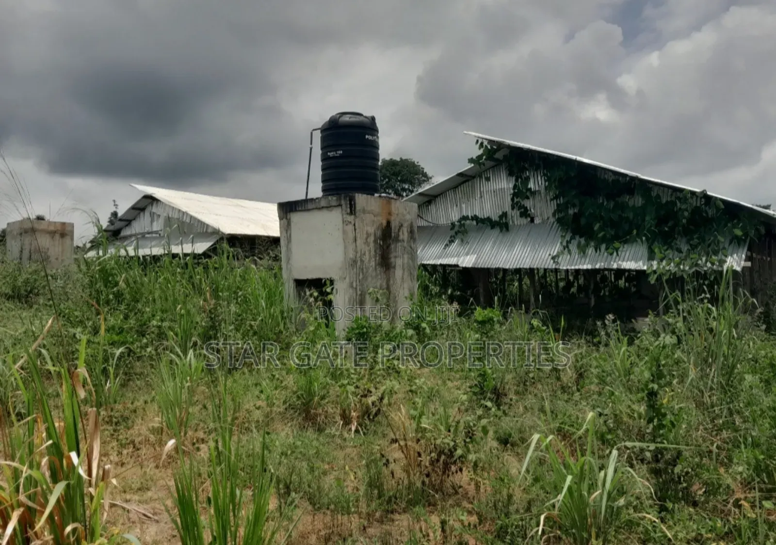 Poultry Farm for Sale