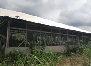 Poultry Farm for Sale