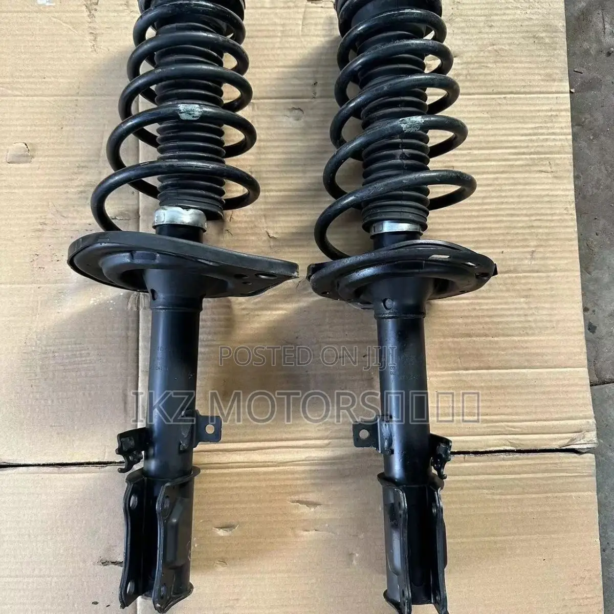 Camry Back Shocks