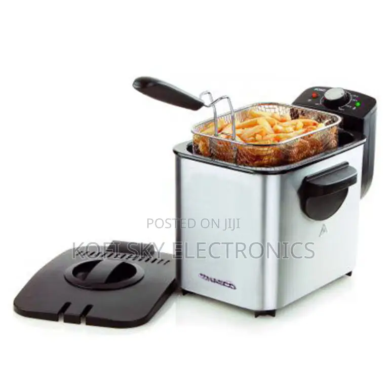 Nasco Deep Fryer 300watt