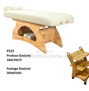 Spa Facial Chairs