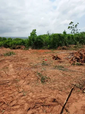 3 Plots of Graded Beach View Land
