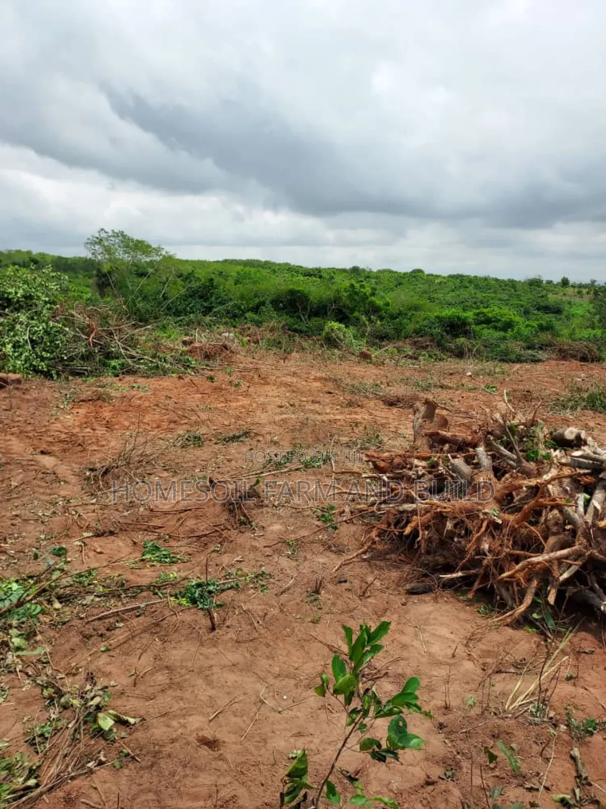 3 Plots of Graded Beach View Land
