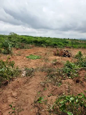 3 Plots of Graded Beach View Land