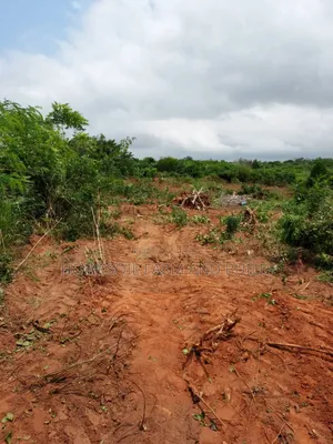 3 Plots of Graded Beach View Land