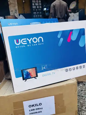 Weyon 24” Hd Digital Satellite Led Tv