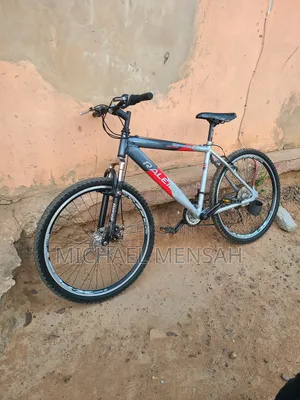 Raleigh Mountain Bike