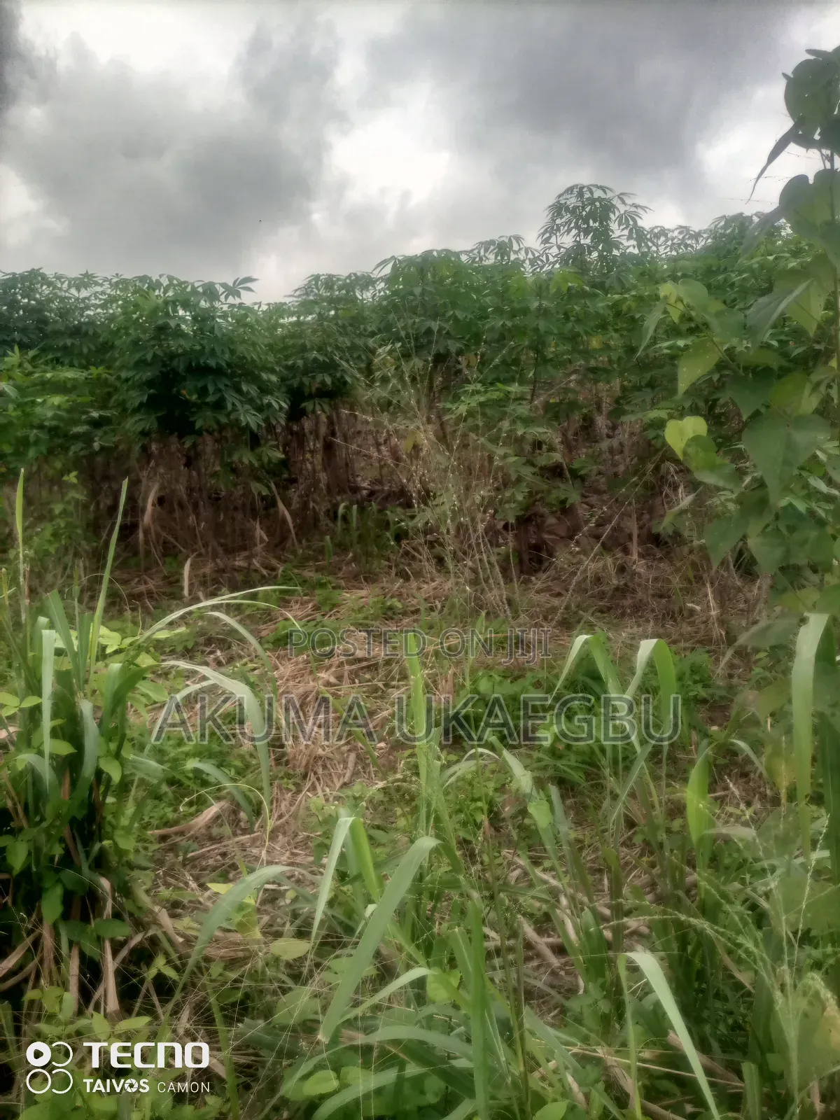 Plot of Land for Sale