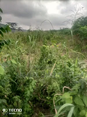Plot of Land for Sale