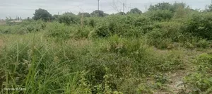 2 Plots Of Land For Sale At East Legon Otinshie