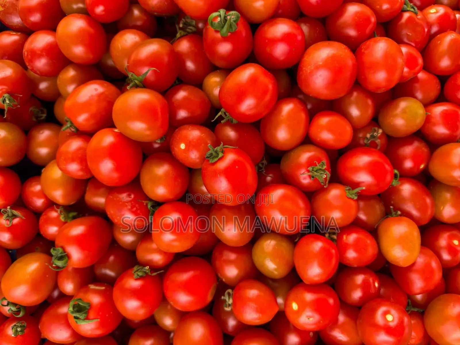 Get Your Market Groceries Without Stress- Fresh and Cheap