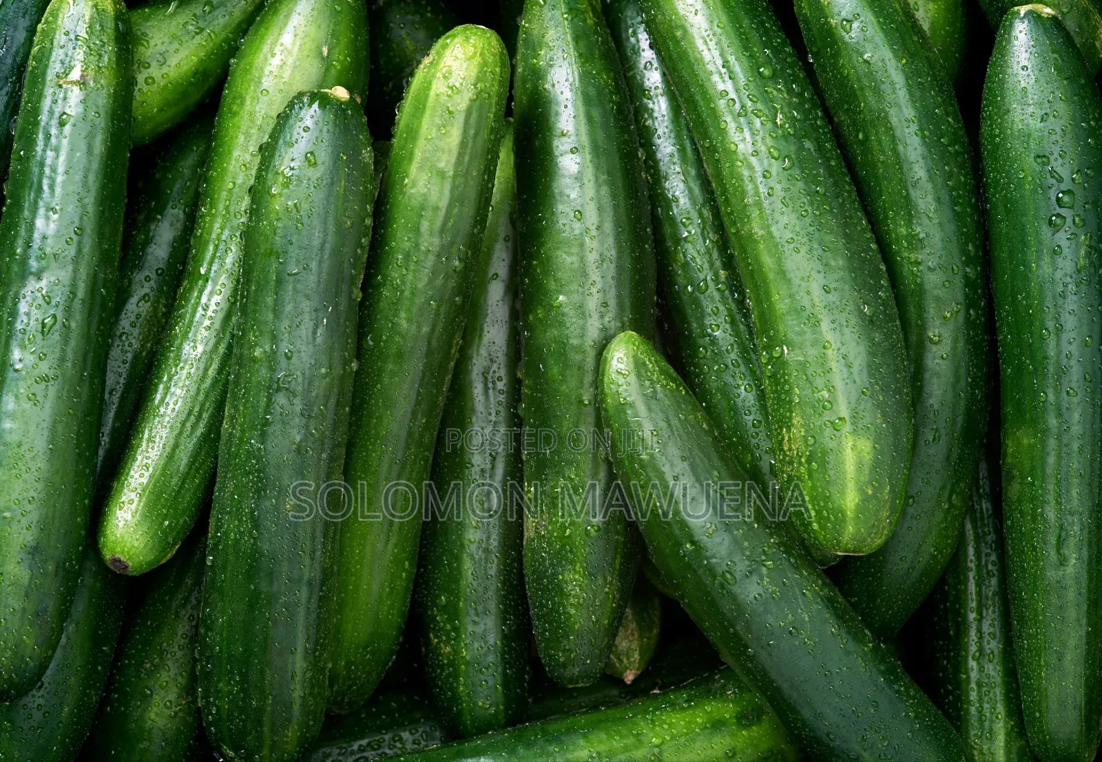 Get Your Market Groceries Without Stress- Fresh and Cheap