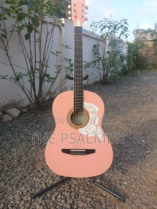 Johnson Est 1993 Jg-100-Pk in Tema Metropolitan - Musical