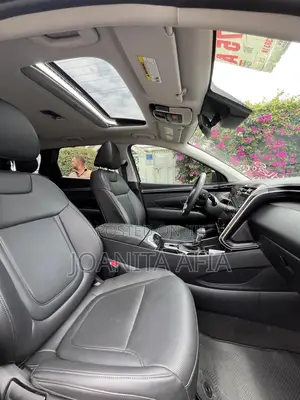 Hyundai Tucson Limited 2023 Silver