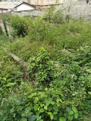 Land With Indenture and Site Plan for Sale