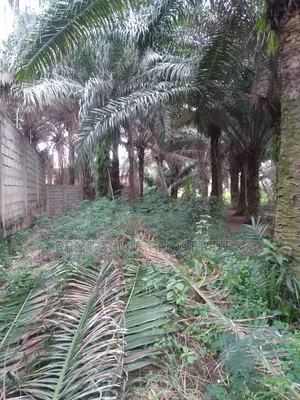 Title Land for Sale