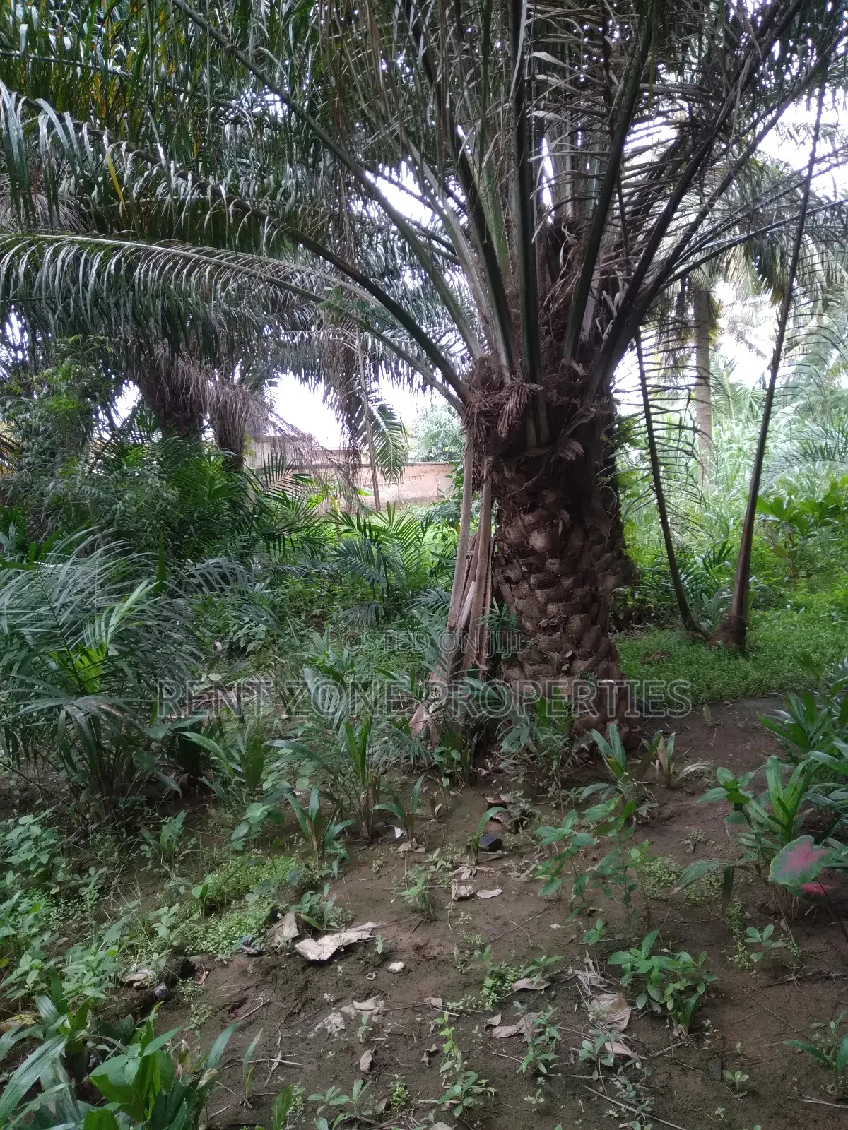 Title Land for Sale