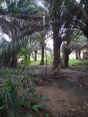 Title Land for Sale