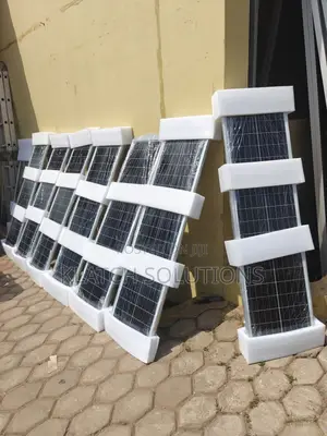 Solar Street Light 100w