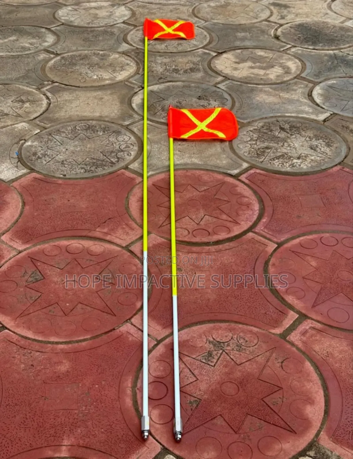 Quality Buggy Whip With Flags - 6ft.