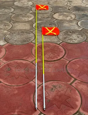 Quality Buggy Whip With Flags - 6ft.