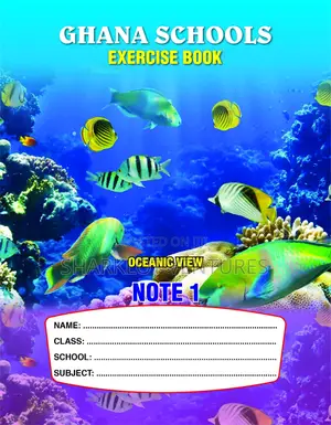 Exercise Book 200 Packs