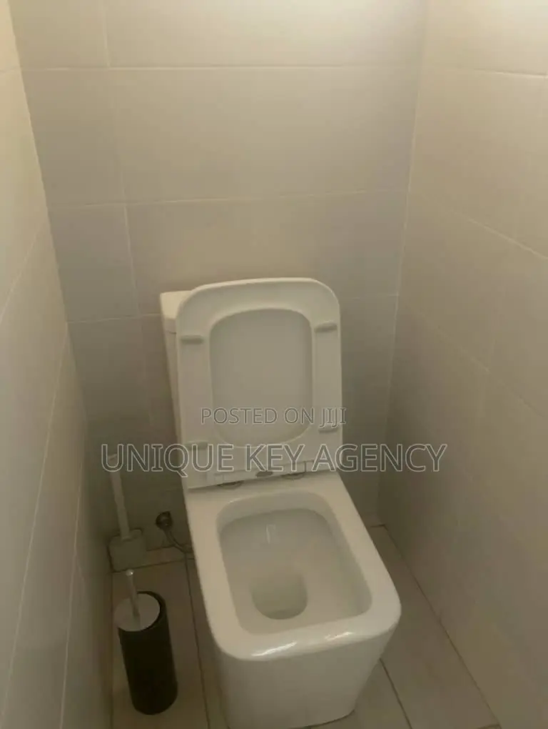2bdrm Apartment in Unique Key Agency, Tseaddo for rent